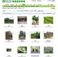 專業(yè)企業(yè)網(wǎng)頁設(shè)計(jì)與維護(hù)服務(wù) 構(gòu)建數(shù)字化形象，驅(qū)動(dòng)業(yè)務(wù)增長